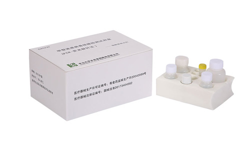 PCR kit for H1N1