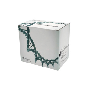 RNA/DNA Purification Kit (Spin Column)