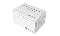 PCR kit for SARS
