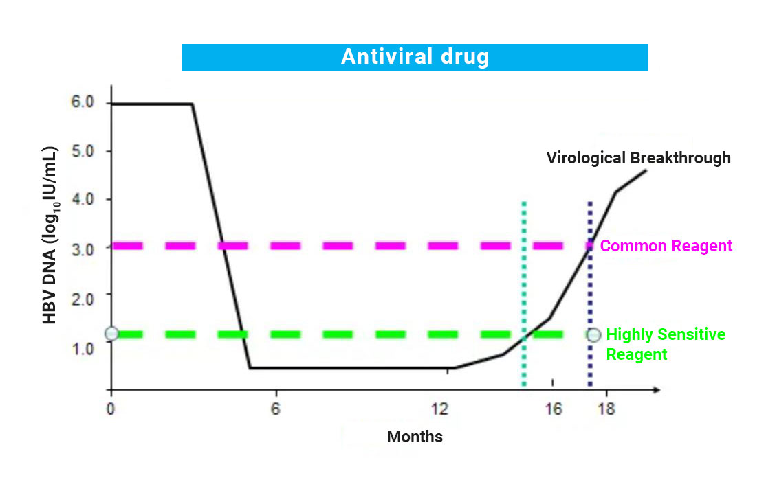 Hep B Viral Load Normal Range