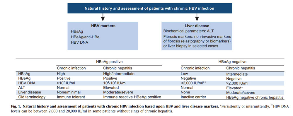 Making-Hepatitis-B-Antiviral-Treatment-Decision-Based-on-HBV-DNA-Quantitative-Test.jpg
