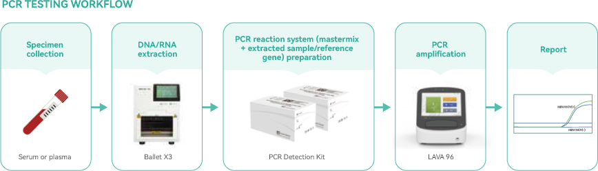 PCR-workflow-01.jpg